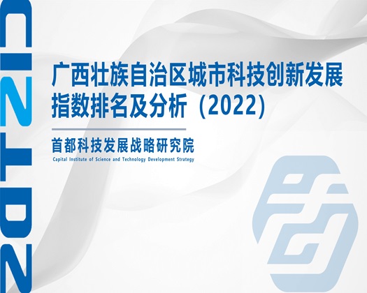 操骚B的视频【成果发布】广西壮族自治区城市科技创新发展指数排名及分析（2022）